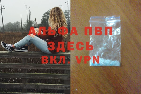 ешки Богданович