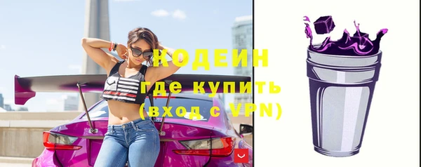 шишки Белокуриха