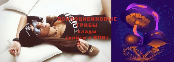 ешки Богданович