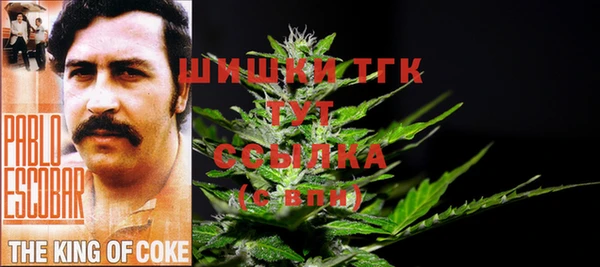 ешки Богданович