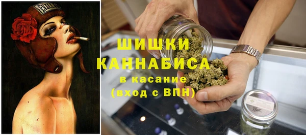 ешки Богданович